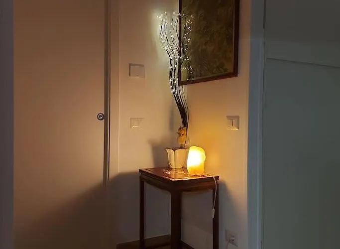 Apartamento Monolocale Nuova Costruzione Con Giardino *