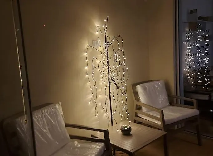 Apartamento Monolocale Nuova Costruzione Con Giardino *