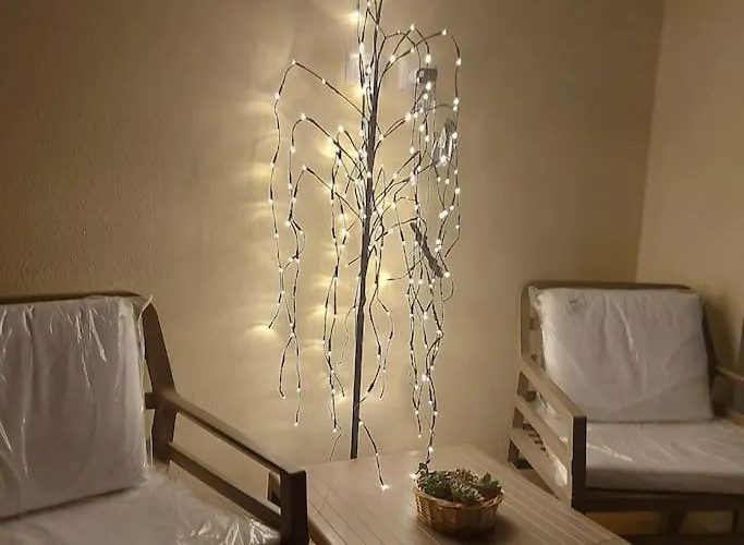 Apartamento Monolocale Nuova Costruzione Con Giardino