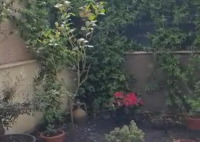 Monolocale Nuova Costruzione Con Giardino